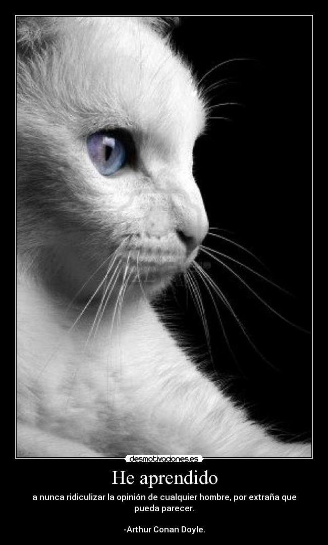 carteles aprendido desmotivaciones