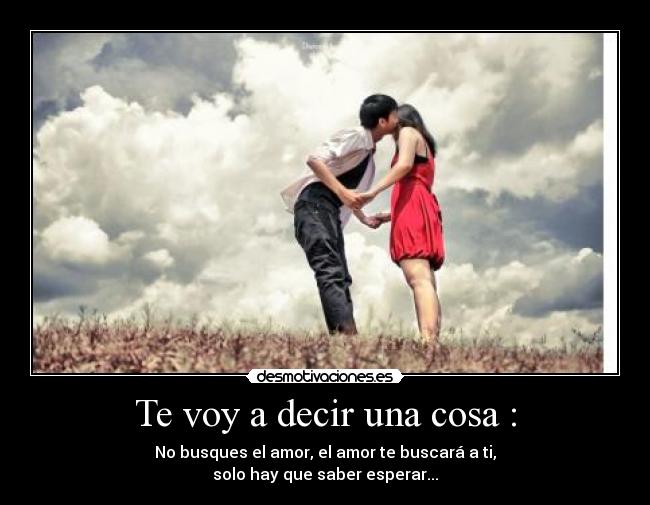 Te voy a decir una cosa : - No busques el amor, el amor te buscará a ti,
solo hay que saber esperar...