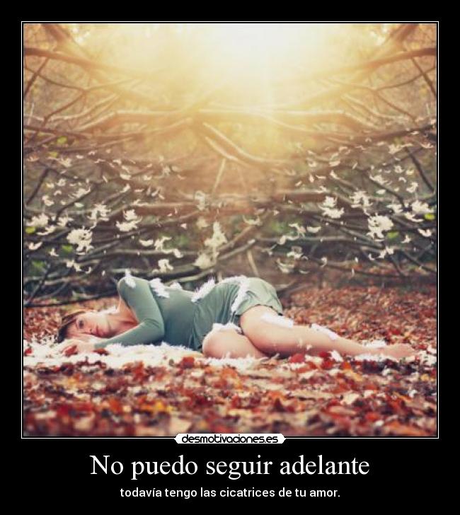 No puedo seguir adelante - 