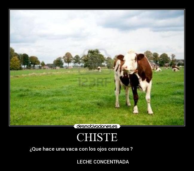 CHISTE - 