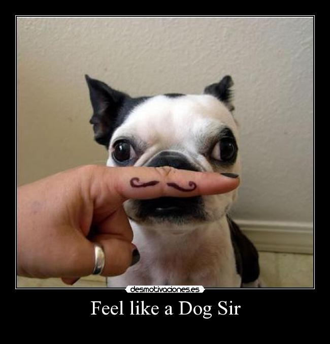 Feel like a Dog Sir - 