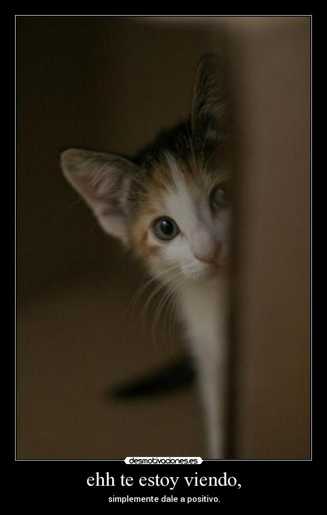 ehh te estoy viendo, -