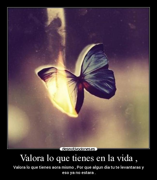 Valora lo que tienes en la vida , - Valora lo que tienes aora mismo , Por que algun dia tu te levantaras y
eso ya no estara .