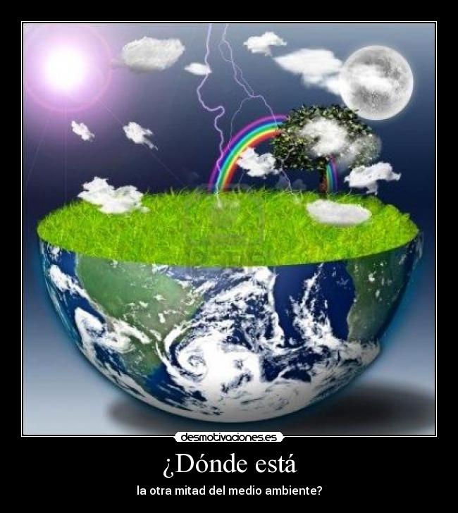 ¿Dónde está - la otra mitad del medio ambiente?