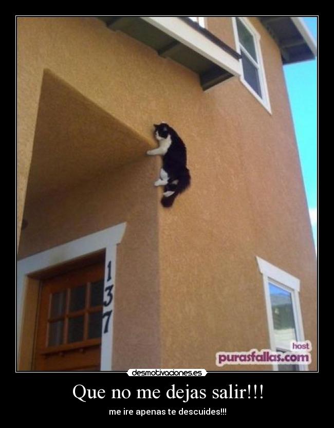 Que no me dejas salir!!! - 