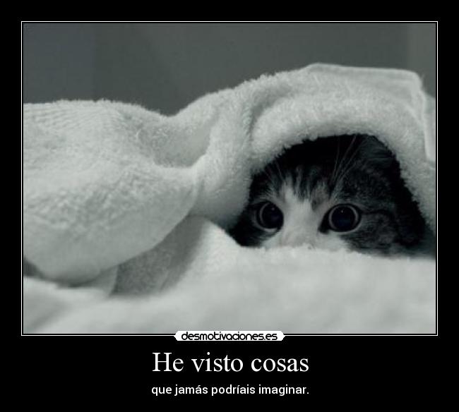 He visto cosas - 