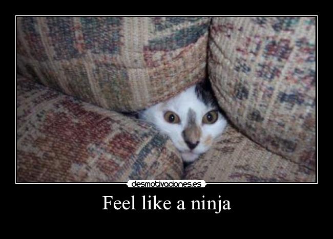 Feel like a ninja - 