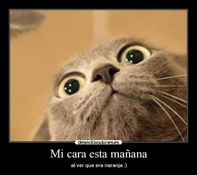 Mi cara esta mañana -