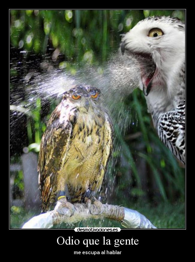 Odio que la gente - me escupa al hablar