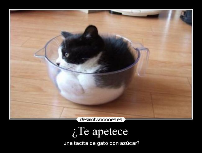 ¿Te apetece  - 