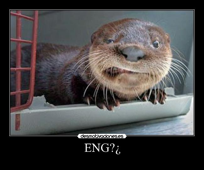 ENG?¿ - 
