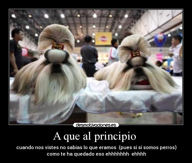 A que al principio  - 