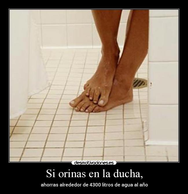 Si orinas en la ducha, - 