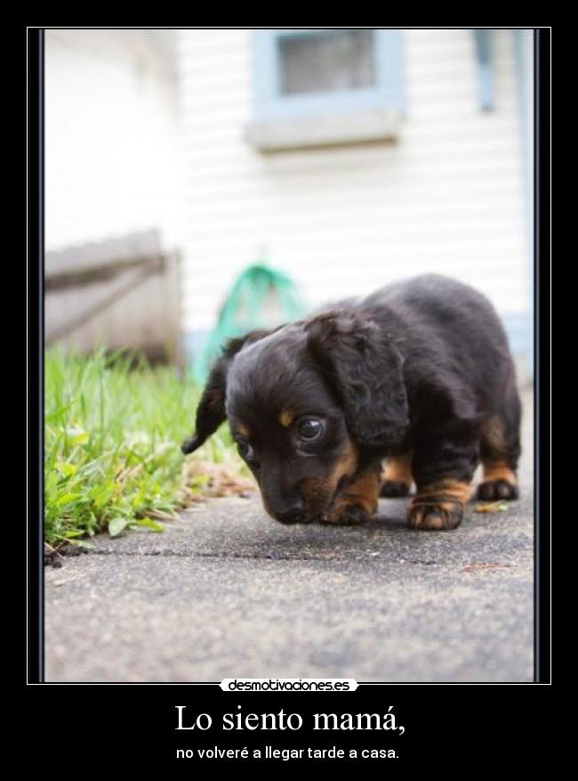 Lo siento mamá, - no volveré a llegar tarde a casa. 