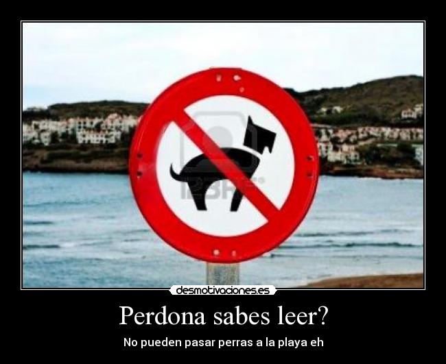 carteles lanenasevillana97 desmotivaciones