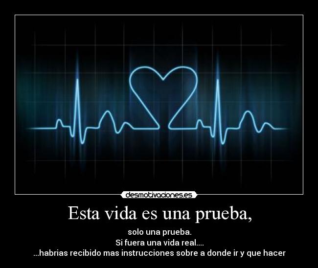 Esta vida es una prueba, - solo una prueba.
Si fuera una vida real....
...habrias recibido mas instrucciones sobre a donde ir y que hacer