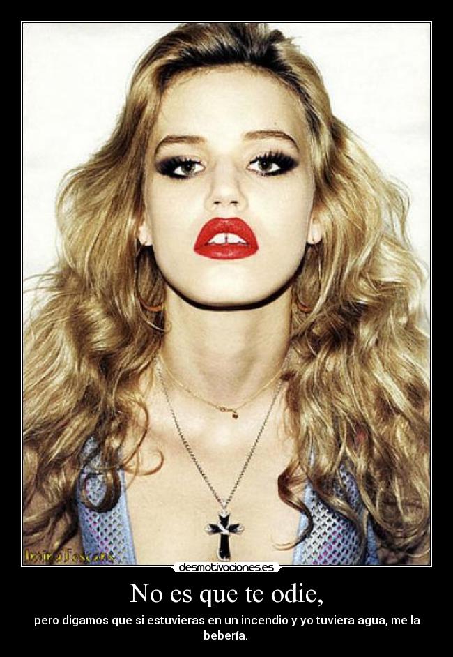 No es que te odie, - pero digamos que si estuvieras en un incendio y yo tuviera agua, me la bebería.