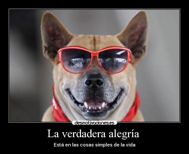 La verdadera alegría  - 