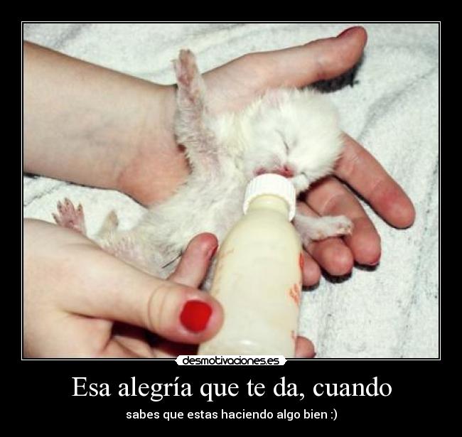 Esa alegría que te da, cuando - 
