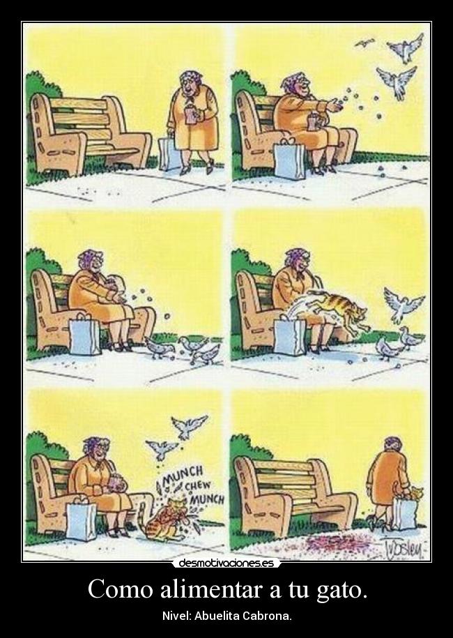 Como alimentar a tu gato. - Nivel: Abuelita Cabrona.