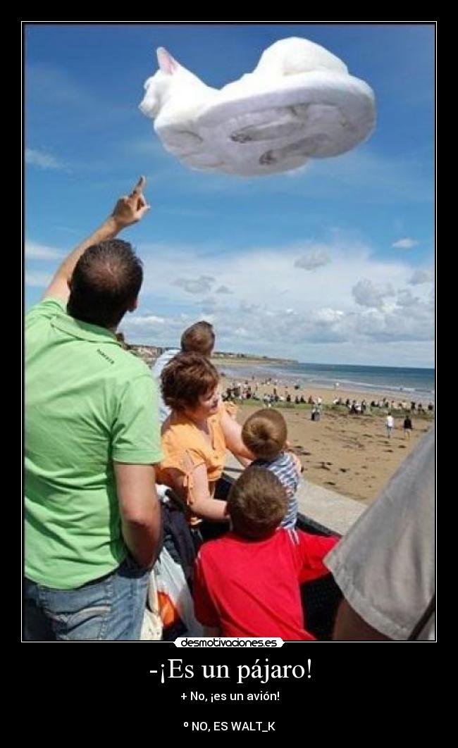 -¡Es un pájaro! - 