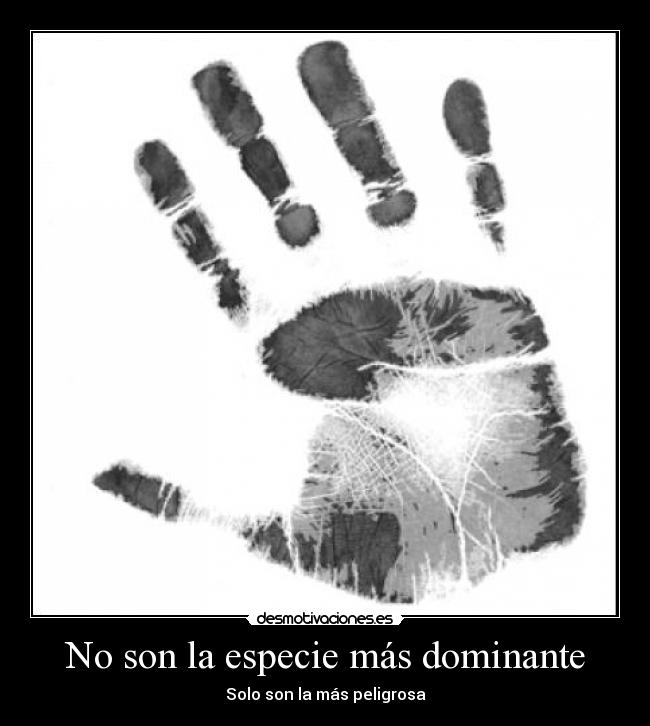 carteles los humanos destruyen naturaleza los animales desmotivaciones