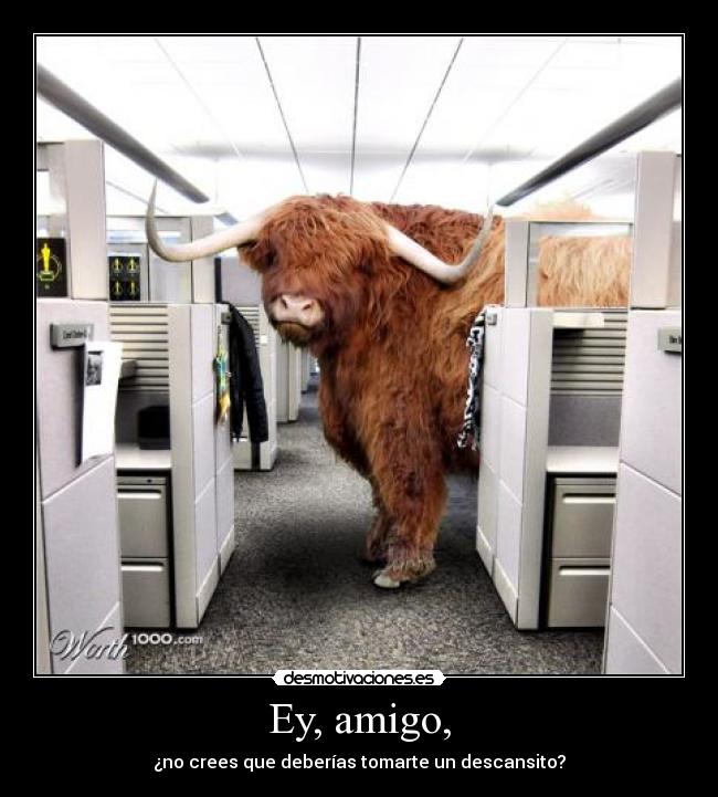 Ey, amigo, - ¿no crees que deberías tomarte un descansito?