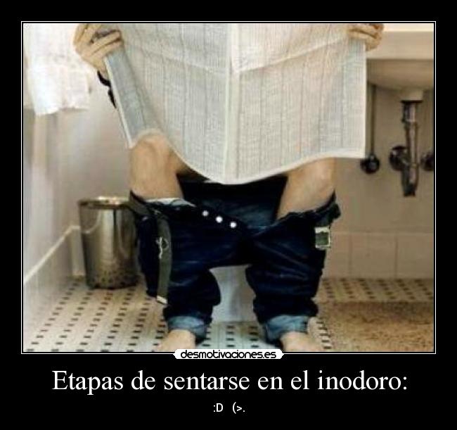 carteles etapas sentarse inodoro desmotivaciones