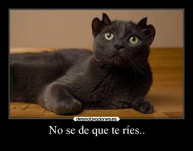 No se de que te ríes.. - 