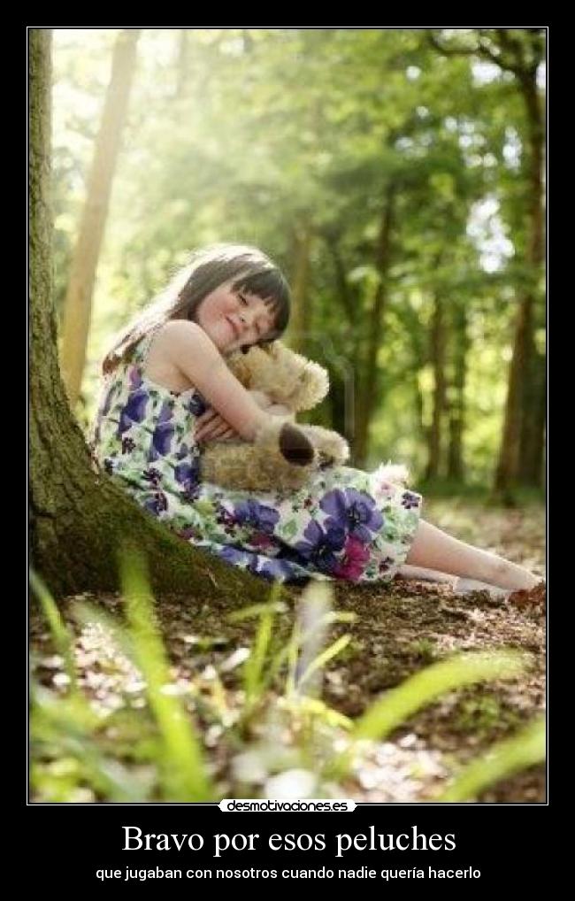 Bravo por esos peluches - 