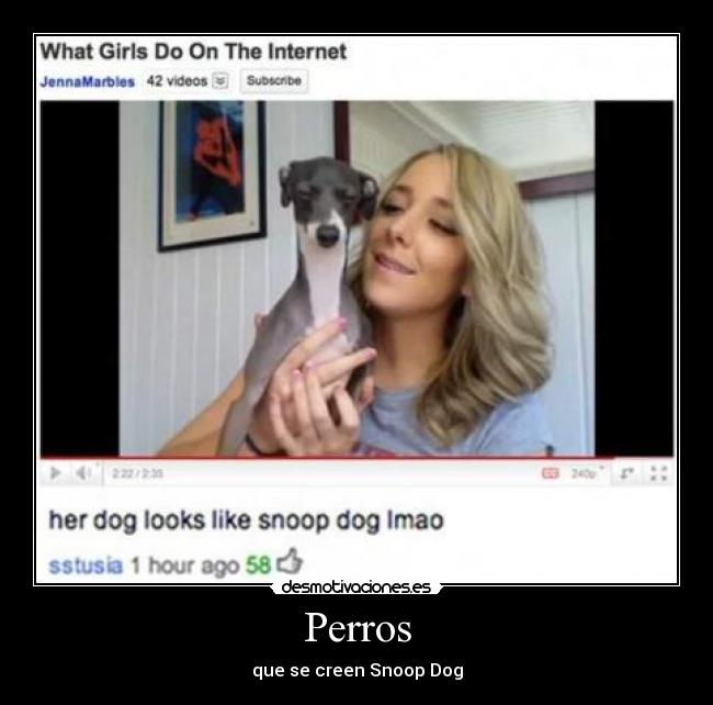 Perros - que se creen Snoop Dog