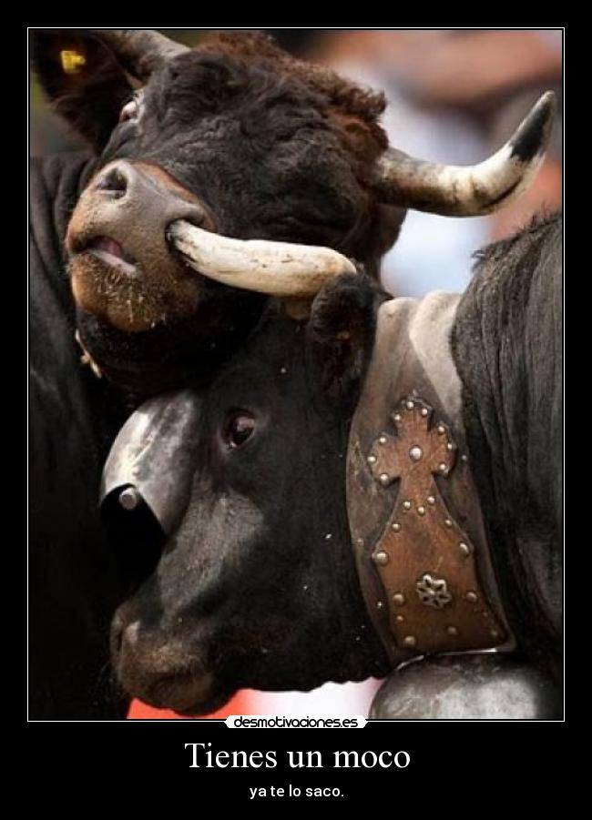 carteles gif bueno reir rato ya dale desmotivaciones