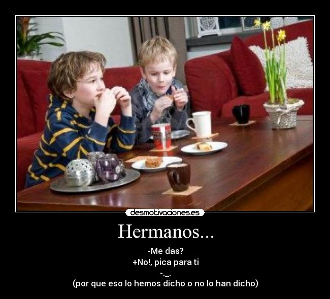 carteles hermanos desmotivaciones