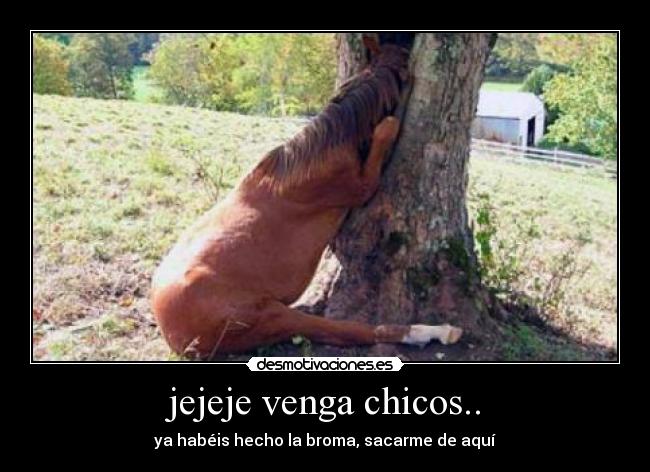 jejeje venga chicos.. - ya habéis hecho la broma, sacarme de aquí
