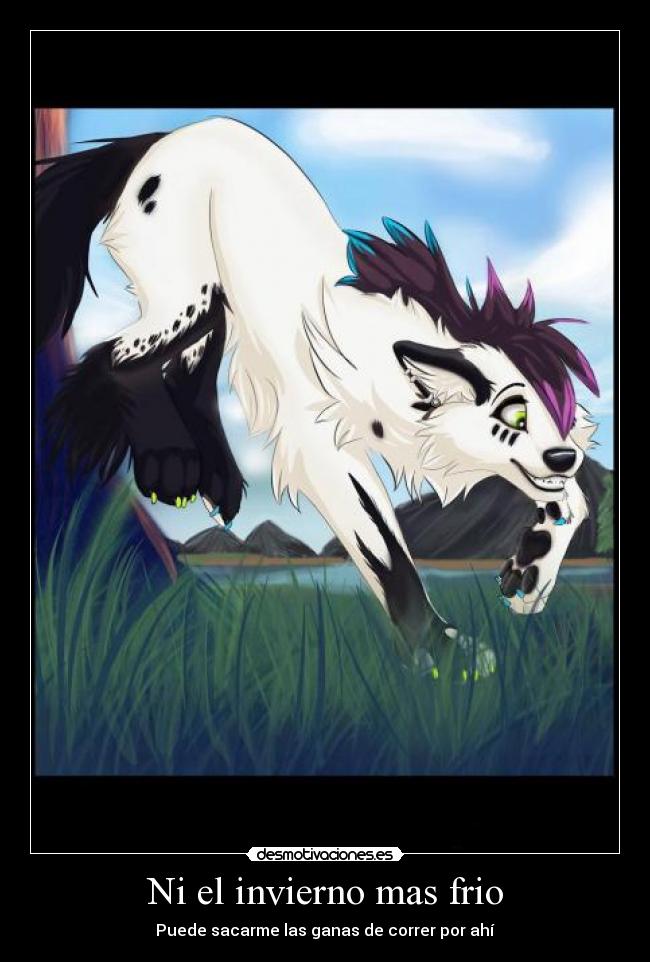 carteles ganas correr invierno desmotivaciones