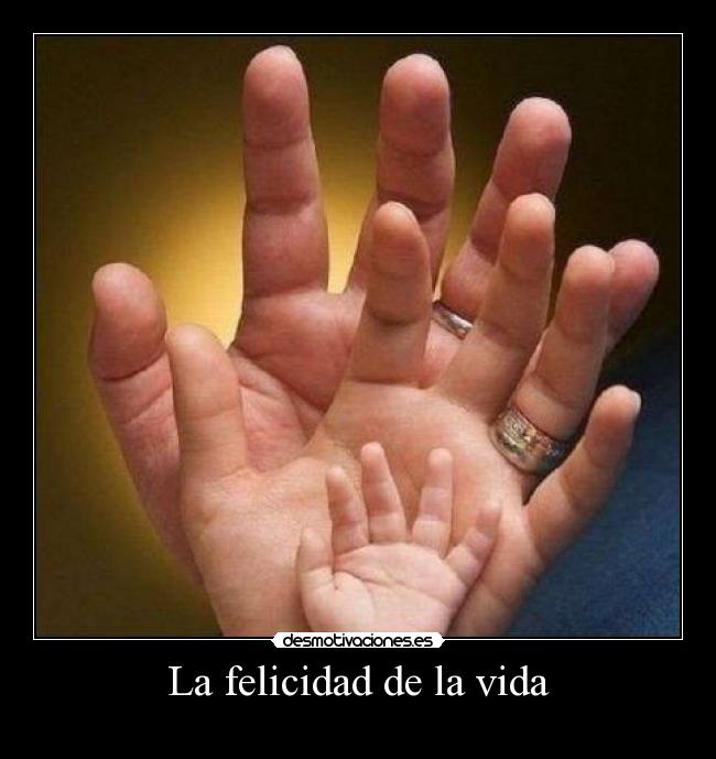 La felicidad de la vida - 