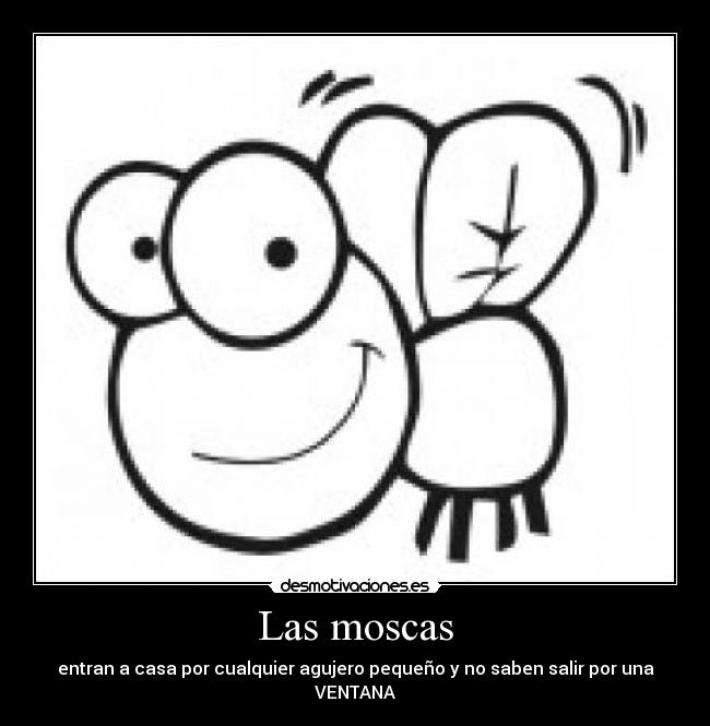 Las moscas - 