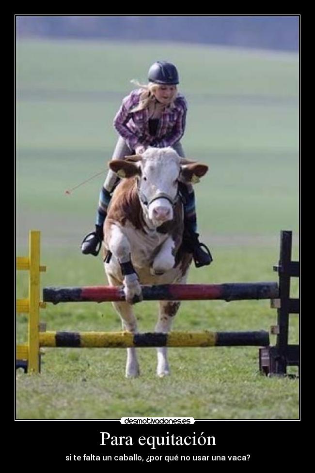 Para equitación -