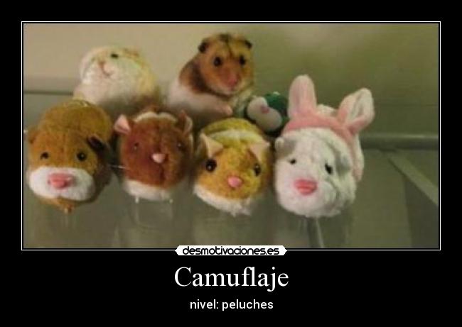 carteles nek desmotivaciones