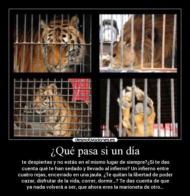 ¿Qué pasa si un día - 