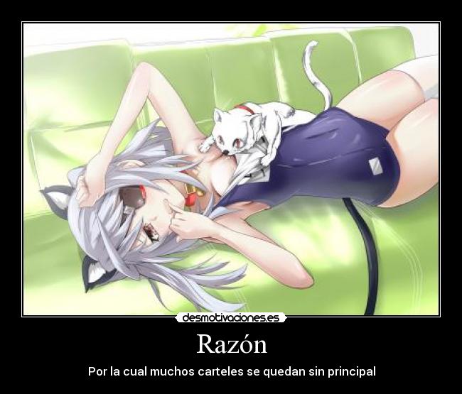 Razón - Por la cual muchos carteles se quedan sin principal