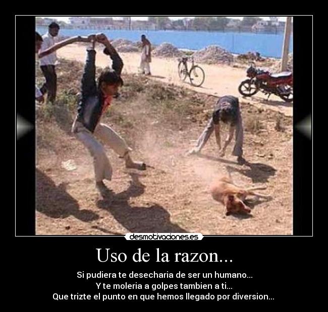 Uso de la razon... - 
