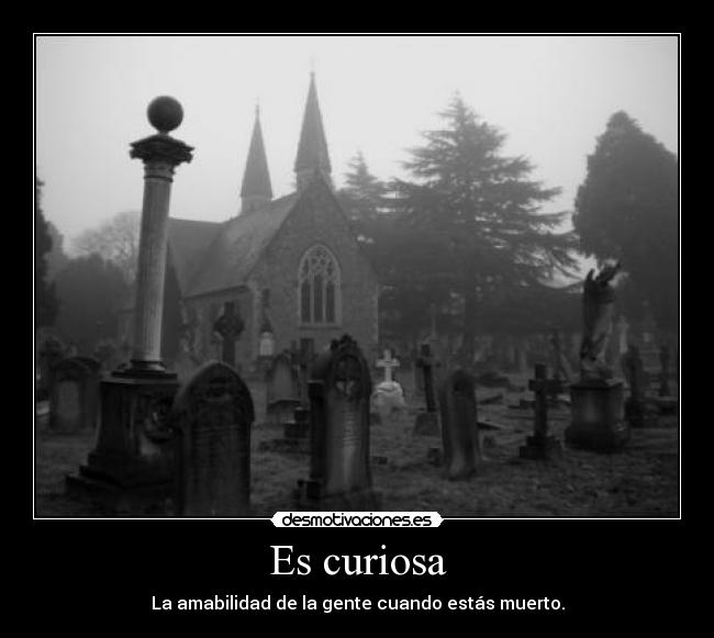 Es curiosa - La amabilidad de la gente cuando estás muerto.