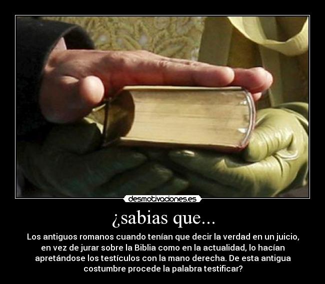 ¿sabias que... - 