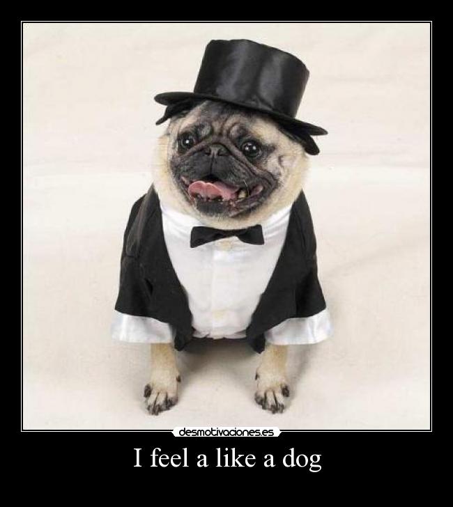 I feel a like a dog - 
