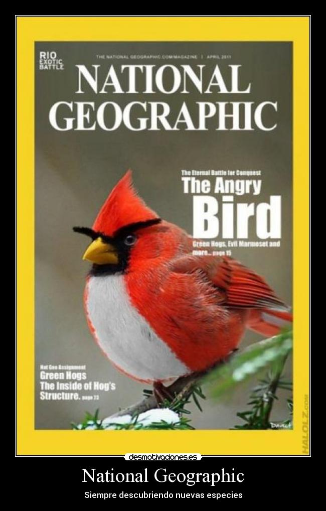 National Geographic -