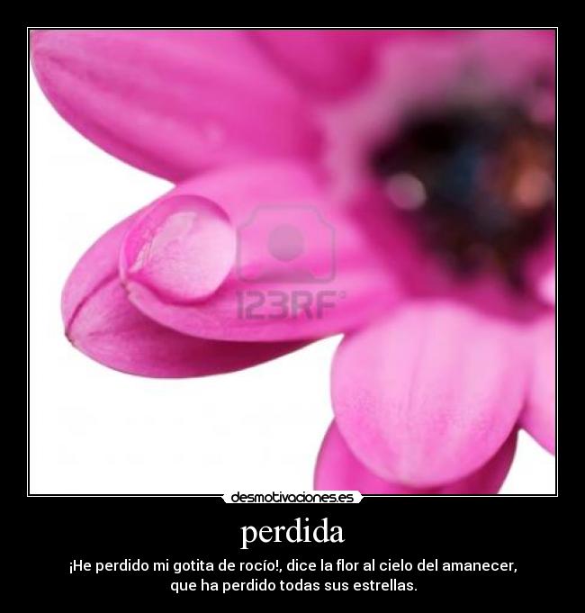 perdida - 