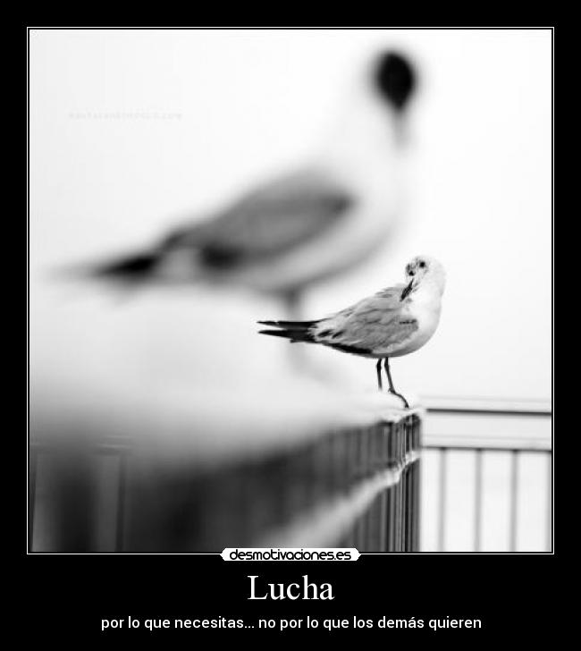 Lucha - por lo que necesitas... no por lo que los demás quieren