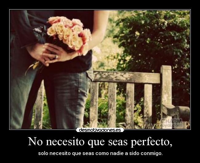 No necesito que seas perfecto, - solo necesito que seas como nadie a sido conmigo.