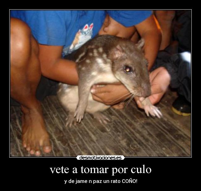 vete a tomar por culo - y de jame n paz un rato COÑO!